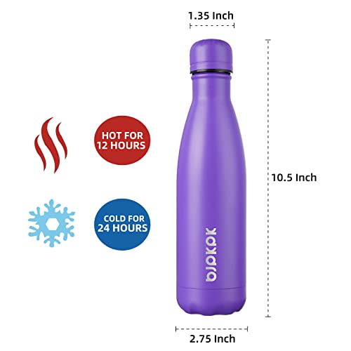 Image of BJPKPK 17 oz Insulated Water Bottle, Stainless Steel Flask, Leak Proof