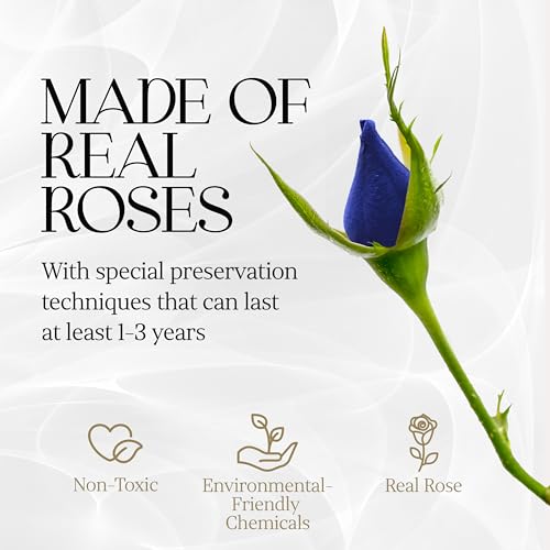 Image of GLAMOUR BOUTIQUE 7 Flower Forever Heart Shape Box, Mothers Day Gift For Mom, Eternal Preserved Roses Gift for Her, Flowers bouquet, For Birthday, Anniversary, Girlfriend - Blue (Color-Treated)
