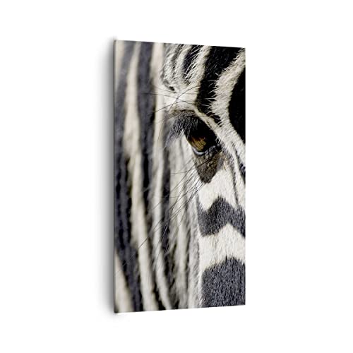 Cuadros Decoracion Salon Cebra rayas fauna safari Lienzos decorativos 65x120cm Cuadro Sobre Lienzo Moderno Vertical Dormitorio Cocina Cuadros Pared Imágenes Wall Art Prints Decor Grande PA65x120-2195