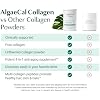 ALGAECAL Bone Builder & Collagen Bundle Clinically-Supported Collagen with Verisol, Fortibone, Fortigel + Plant-Based Calcium, Strontium, D3, K2, Magnesium & 16 Nutrients for Beauty & Bone Health