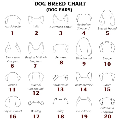 Custom Dog Embroidered Sweatshirt for Women & Men – Personalized Dog Mom Sweater – Pet Lover Gifts, Dogs Themed Gifts, Custom Pet Sweatshirt, Embroidered Crewneck - Gift for Birthday, Christmas3