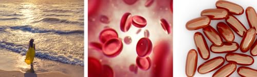 Ômega 3 Pulse 60 Cápsulas - Puravida