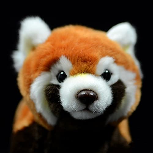 Tiny Heart Super Cute Realistic Red Panda Plush Toy, 11 Inch Very Realistic Soft Plush Stuffed Animal Figure For Kids Birthday Gift Decoration Collection #TOP5