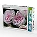 Produktbild CALVENDO Puzzle Pelargonie Lady Gertrude 1000 Teile Lege-Größe 64 x 48 cm Foto-Puzzle Bild von Martina Cross