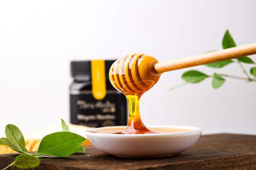 Terra Andes Plus Raw Honey – Apf 200 Organic Honey From Chile – Pure Unpasteurized Honey – Non-Gmo Superfood - Creamy And Sweet Natural Honey With Authentic Flavor - Traceable - 17.6 Oz #TOP3