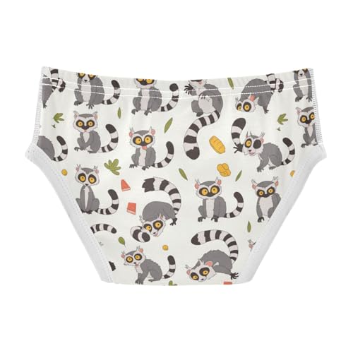 Wusikd Cute Lemur Print Boys' Underwear Cotton Boys Briefs Soft Toddler Underwear 2T2