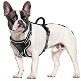 【Safer in Dark】 Nylongewebe mit 3M reflektierendem Material sorgt für gute Sichtbarkeit beim Nachtlauf, sodass Sie nachts eine gute Freizeit mit Ihrem schönen Hund genießen können. Wir bieten eine lebenslange Garantie und eine sorgenfreie Rückerstattung für 60 Tage.