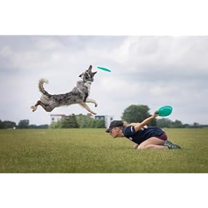 Superhero 235 and Super Sonic 215 K9 Candy Plastic Dog Frisbee, Outdoor Dog Toy and Pet Frisbee, Puncture Resistant Dog Flying Disc Pack of 2 Superhero 235 and Super Sonic 215 K9 Candy Plastic Dog Frisbee Outdoor Dog Toy and Pet Frisbee Puncture Resistant Dog Flying Disc Pack of 2