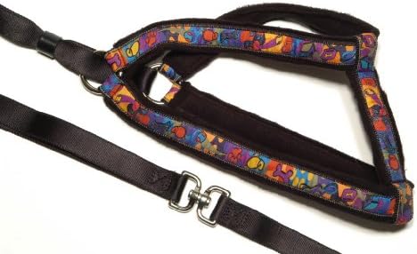 Extra Large, EZHarness Signature Ribbon Pet Leash, Black