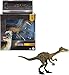 Mattel Jurassic World Hammond Collection Dinosaur Action Figure Toy Troodon Species, Premium Movie Design Glass Eyes & 14 Points Articulation, JDJ11