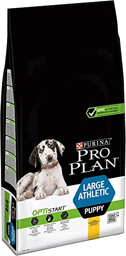 PRO PLAN Chien Large Puppy Athletic Healthy Start Poulet 12KG