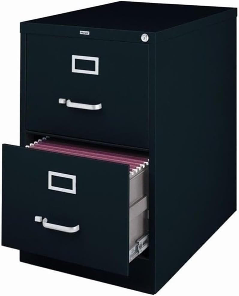 Pemberly Row 2 Drawers 28.38" Vertical Black Metal Filing Cabinet Lockable Pre-Assembled Stationary Legal Size for Home, Office