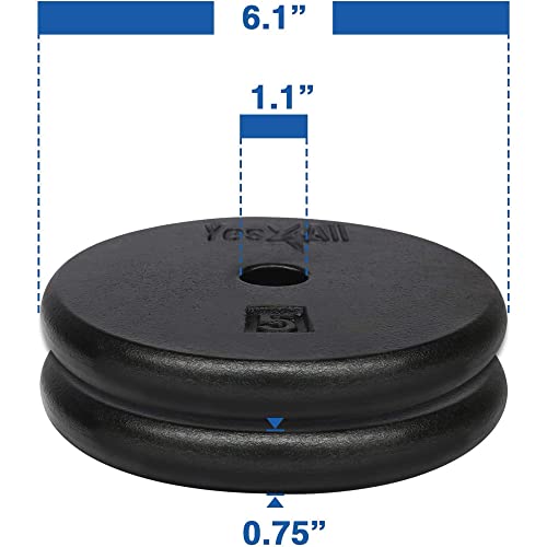Yes4All 1-Inch Cast Iron Weight Plates For Dumbbells – Standard Weight Disc Plates (5 Lbs, Set Of 2) #TOP1