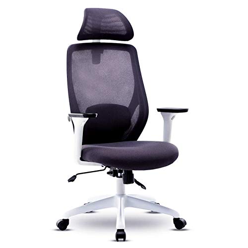 ALITTLEBIE Ergonomic High Back Mesh Office Chair with Adjustable Armrest Lumbar Support Headrest Swivel Task Desk Chair Computer Chair(White)