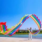 Square Exercise Dance Outdoor Flinging Fitness Dragon POI Wu Long 3D Real-Like Dragon Ribbon Streamer Set (19.6ft, Rainbow Dragon)