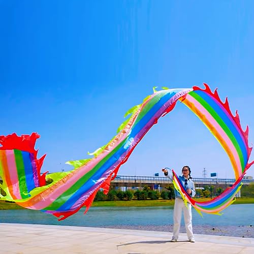 Square Exercise Dance Outdoor Flinging Fitness Dragon POI Wu Long 3D Real-Like Dragon Ribbon Streamer Set (19.6ft, Rainbow Dragon)
