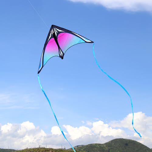 Flying Hoofer Large Beach Delta Kite for Adults and Kids Ages 4-8 & 8-12, Extremely Easy to Fly for Beginners(60X30\'\'), Single Line Kite,Comes with 300 FT String Kite Handle.(Blue)