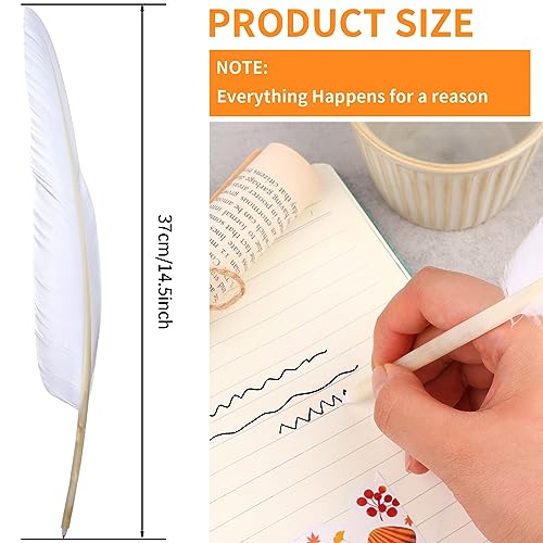 Bolígrafos de pluma de ganso elegantes BANBAN pack de papelería para firmas y notas 2