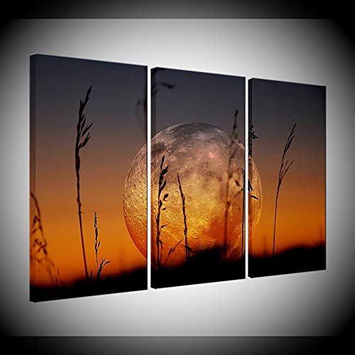 Toile peinture brûlure et lune décorative en 3 pièces pour salon