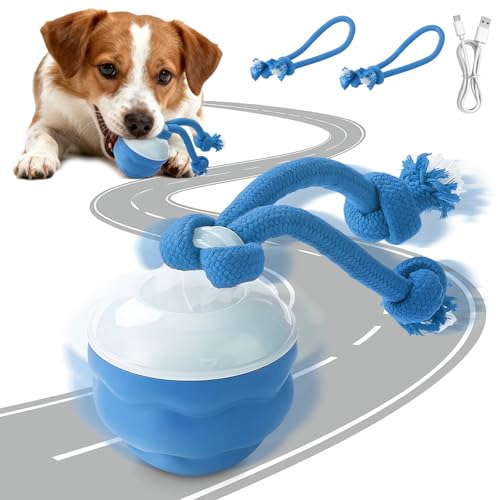 AMFUN Palla per Cani Interattiva, Palla Giocattolo per Cani Elettrica, Pallina Ricaricabile USB Che Si Muove da Sola, Giocattolo Interattivo per Cani di Taglia Grande e Media, Blu
