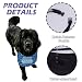 Newfie Imagen de Newfie