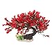 NOLITOY Fish Tank Landscaping Tree Decor Fish Tank Supplies Large Fish Tank Plant Fake Fish Tank Grass Fake Plants for Fish Tank Fish Tank Accessories Plastic Aquarium Welcome Song