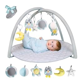 Solens Baby Play Gym Mat with 5 Detachable Sensory Toys, Tummy Time Activity Mat for Sensory & Motor Skill Development, Infant Activity Gym, Newborn Baby Shower Gift, Dusky Blue