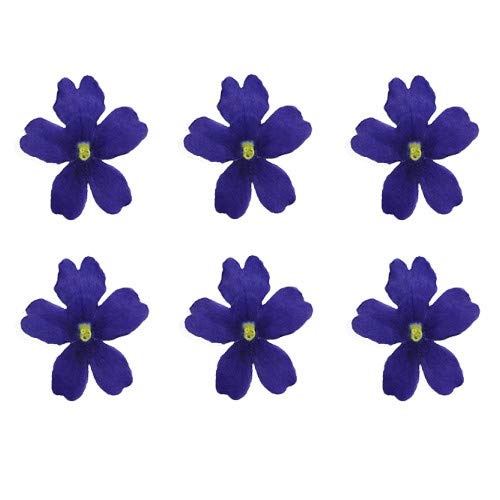 Hׂ鉟 hCGfBut[ o[xi() 100 Hp hCt[ LЃg(omtmb7239)