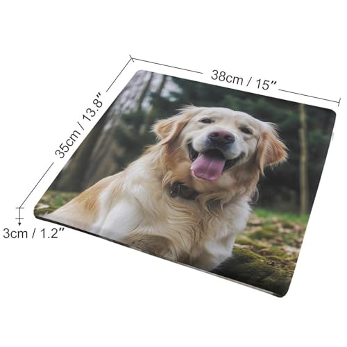 Coussin de chaise Golden Retriever en mousse à mémoire de forme 38cm antidérapant - 3