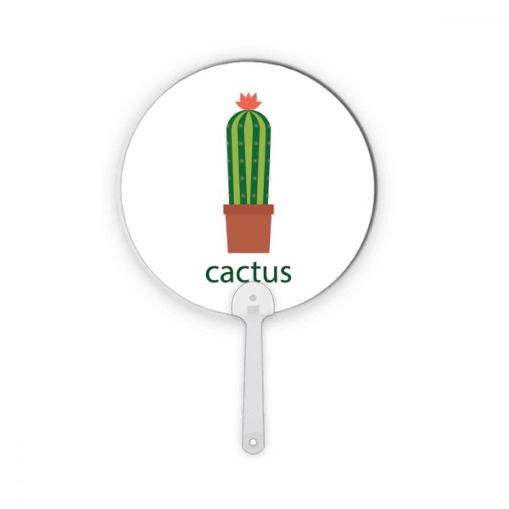 Pot plastique aéré contre le pourrissement des succulentes et cactus
