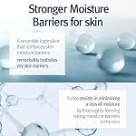 Pyunkang Yul PKY Intensive Ceramide Body Lotion, Non-Greasy, Minimal Ingredients, Zero-Irritation, Korean Skincare (500 ml, 16.9 fl. oz)