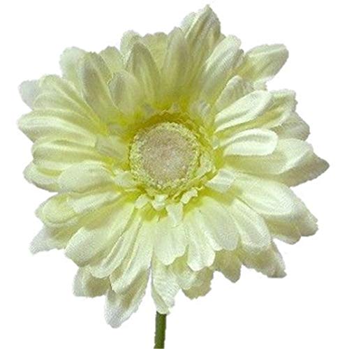 6 x Artificial Single Stem Cream Gerbera with Big Bloom - very dramatic - home garden โ image 1