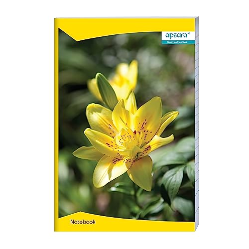 Image of Apsara Mahabar(foolscap) Longbook | 33 CM x 21 CM Approx - Pages 104 | Single Line Notebook | GSM 56 |Use For School,College Student & Professionals | Covers May Differ | Pack of 12 Books