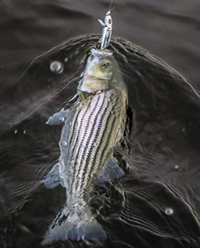 Bomber Lures Jointed Wake Minnow Fishing Lure, Produces A Fish-Enticing V-Wake, Freshwater Fishing Gear And Accessories, 5 3/8", 3/8 Oz, Bone Flash, (Bjwm5455) #TOP1