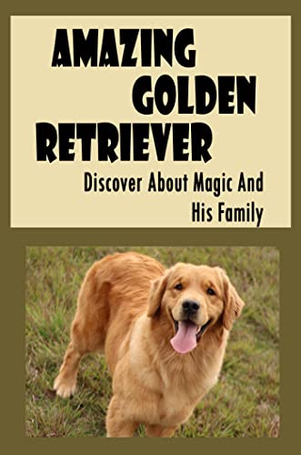 Amazing Golden Retriever: Discover About Magic And His Family