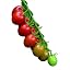 Sugar Rush Hybrid