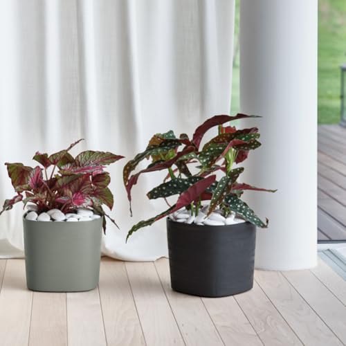 Vase CAPRI 38 TERA CLOUD pot de fleurs design pour terrasse et salon