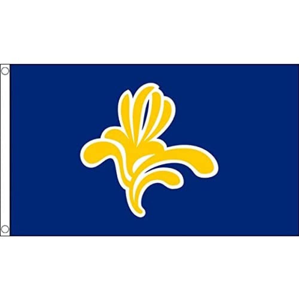 AZ FLAG Tischflagge Brüssel-Hauptstadt – 15x10 Cm Polyester-Flagge Mit Schwarzem Sockel & Mast, Für Innendekoration