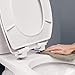BEMIS 2155CTJ 000 Commercial Heavy Duty Open Front Toilet Seat without Cover that will Lift for Easy Cleaning, Never Loosen & Reduce Call-backs, ELONGATED, Plastic, White