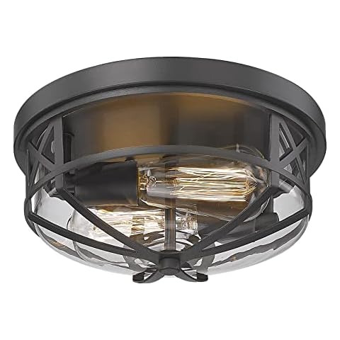 Darkaway Ceiling Light Fixtures Flush Mount Light Fixtures Ceiling with Clear Glass Shade, Indoor Outdoor Ceiling Light for Hallway Entryway Bedroom Porch Kitchen 2-Light E26 Cover
