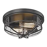 Darkaway Ceiling Light Fixtures Flush Mount Light Fixtures Ceiling Mount with Clear Glass Shade, Ind