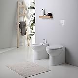 COPPIA DI SANTIARI BAGNO A TERRA PATASCOSS Una delle scelte più importanti nell'arredare il proprio bagno, ricade proprio sulla serie di sanitari da inserire. Molti prediligono i modelli sospesi, molti altri invece preferiscono i modelli di sanitari terra, categoria alla quale appartiene la coppia di WC con bidet presentata in questa pagina: .