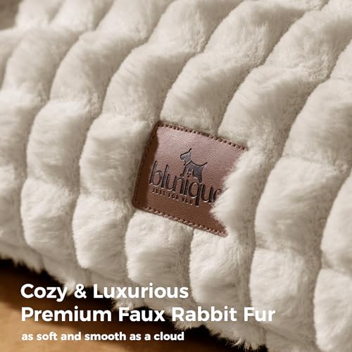 image for blunique Cat Beds for Indoor Cats - Cute Cat Couch Bed Fluffy Pet Sofa