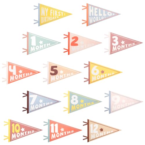 Image of 14pcs Baby Milestone Flags, Felt Monthly Milestone Pennant Flag Colorful Baby Milestone Signs for Newborn Baby Shower 1st Birthday Party Decorations (Pattern 1)