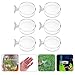 Mikikit 6Pcs Acrylic Shrimp Feeding Dish with Suction Cup Durable Aquarium Accessories for Easy Fish Feeding Compact Space Saving Design for Fish Tanks