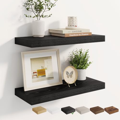 Dreamland 22.5 Inches Wall Mounted Wood Floating Shelves, Black, 2 Pack