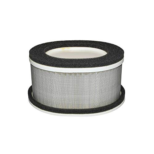 Filtre à air Yamaha FZS 1000 Fazer Hiflofiltro HFA4911 pour moto de 2001 à 2005