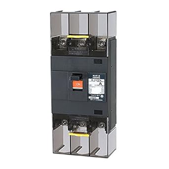 Amazon Co Jp テンパール工業 配線用遮断器 Eシリーズ 経済タイプ B 223ea 200a Diy 工具 ガーデン