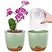2er-Set Orchideentopf, 14,7 cm Doppelschicht-Design – Transparenter Selbstbewässerungstopf mit Übertopf, Orchideen-Bewässerungssystem, Blumentopf für Orchideen(Grün)