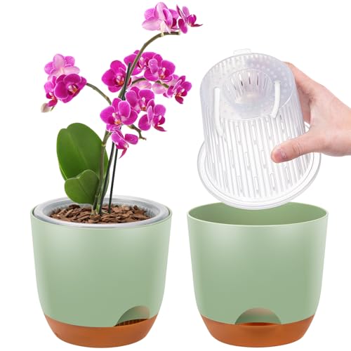 2er-Set Orchideentopf, 14,7 cm Doppelschicht-Design – Transparenter Selbstbewässerungstopf mit Übertopf, Orchideen-Bewässerungssystem, Blumentopf für Orchideen(Grün)